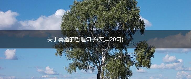 关于美酒的哲理句子(实用20句),第1张