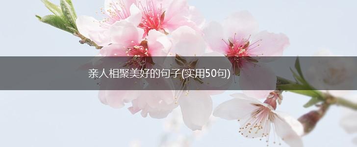 亲人相聚美好的句子(实用50句),第1张