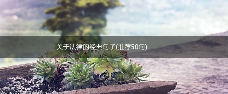 关于法律的经典句子(推荐50句),第1张