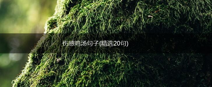 伤感鸡汤句子(精选20句),第1张