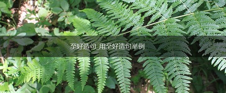 至好造句_用至好造句举例,第1张