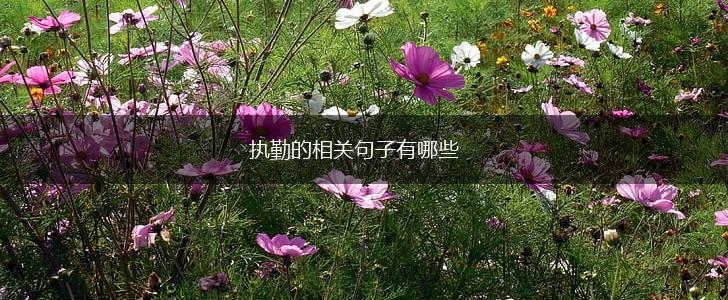 执勤的相关句子有哪些,第1张