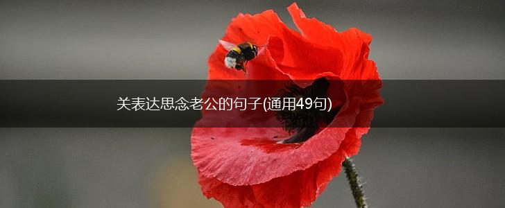 关表达思念老公的句子(通用49句),第1张