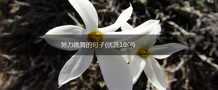 努力跳舞的句子(优选10句),第1张