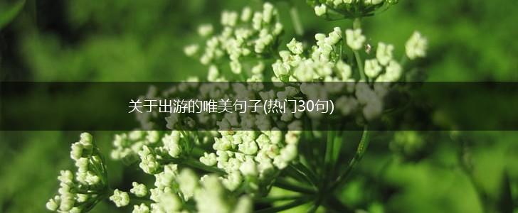 关于出游的唯美句子(热门30句),第1张