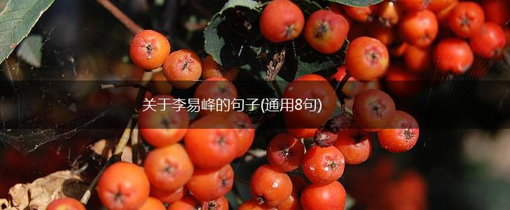 关于李易峰的句子(通用8句),第1张