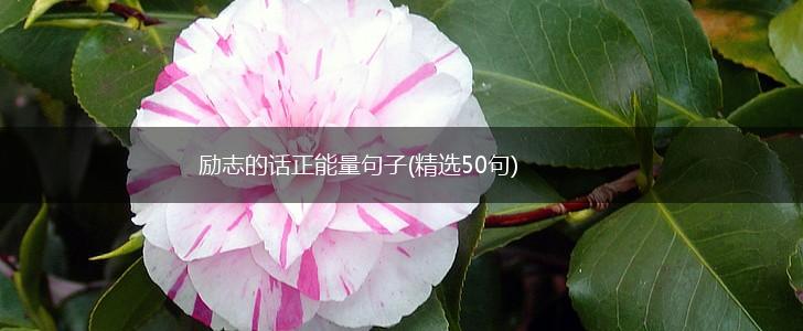 励志的话正能量句子(精选50句),第1张
