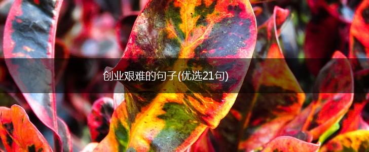 创业艰难的句子(优选21句),第1张