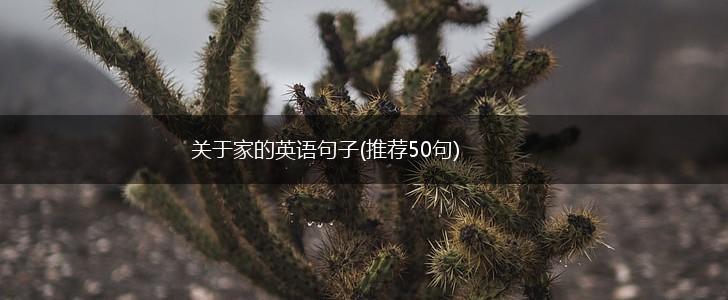 关于家的英语句子(推荐50句),第1张