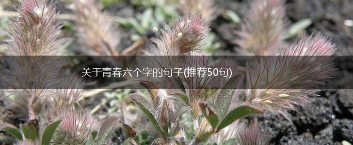 关于青春六个字的句子(推荐50句),第1张