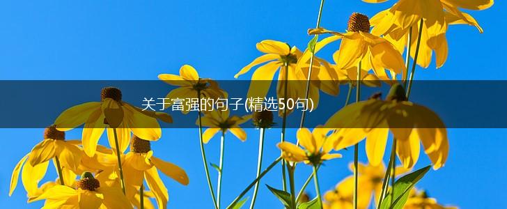 关于富强的句子(精选50句),第1张