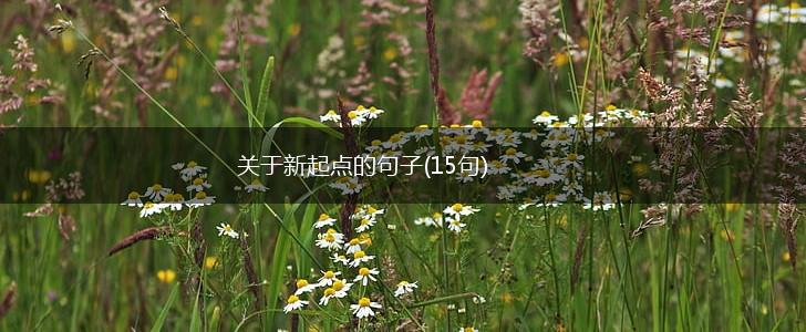 关于新起点的句子(15句),第1张