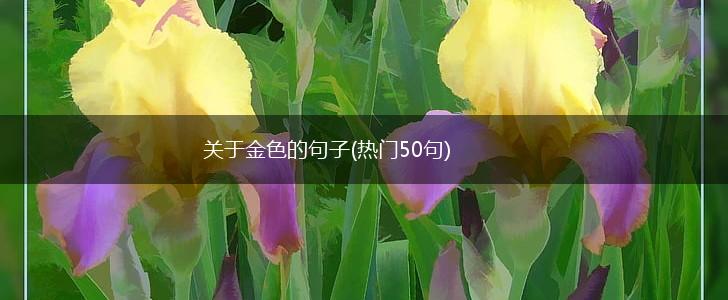 关于金色的句子(热门50句),第1张