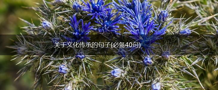 关于文化传承的句子(必备40句),第1张