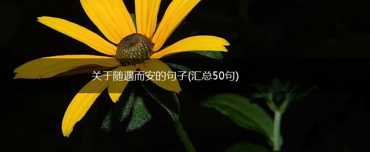 关于随遇而安的句子(汇总50句),第1张