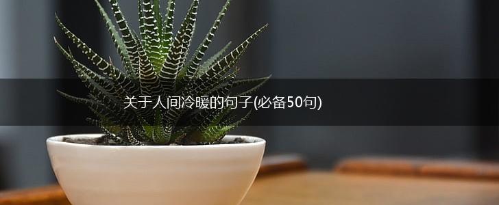 关于人间冷暖的句子(必备50句),第1张