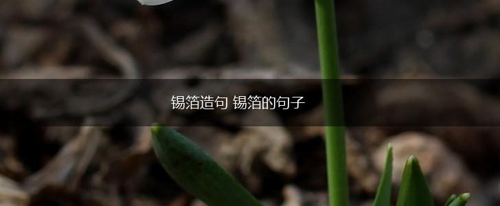 锡箔造句 锡箔的句子,第1张