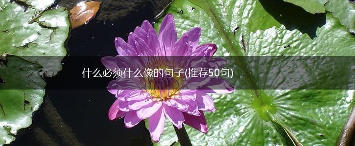 什么必须什么像的句子(推荐50句),第1张
