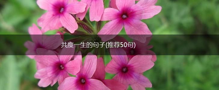 共度一生的句子(推荐50句),第1张