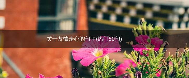关于友情走心的句子(热门50句),第1张