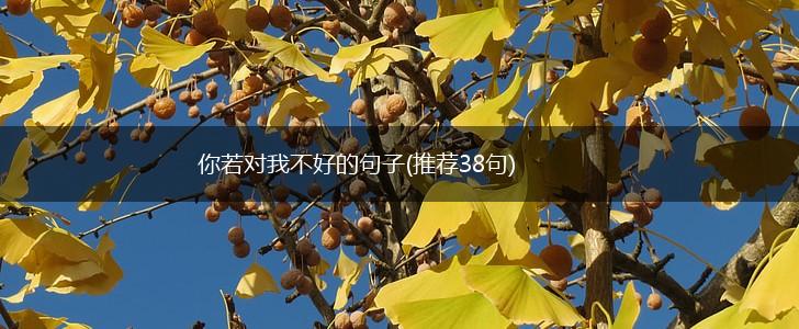 你若对我不好的句子(推荐38句),第1张