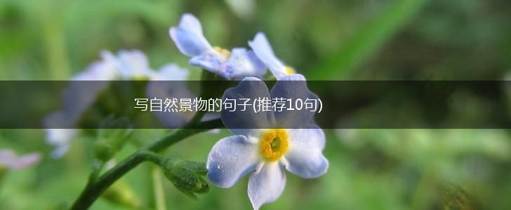 写自然景物的句子(推荐10句),第1张