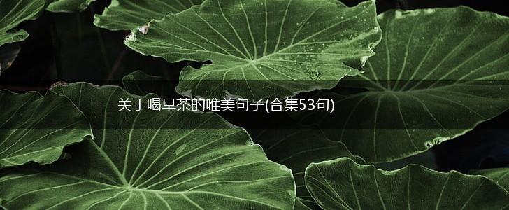 关于喝早茶的唯美句子(合集53句),第1张