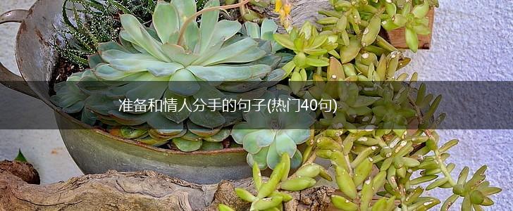 准备和情人分手的句子(热门40句),第1张