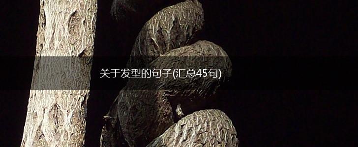 关于发型的句子(汇总45句),第1张