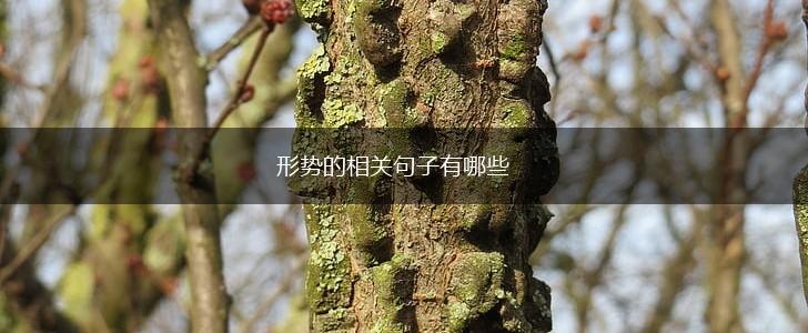 形势的相关句子有哪些,第1张