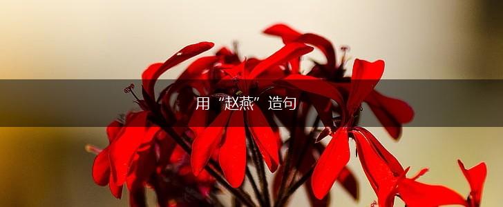 用“赵燕”造句,第1张