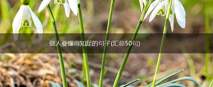 做人要懂得知足的句子(汇总50句),第1张
