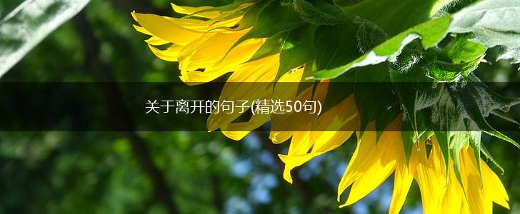 关于离开的句子(精选50句),第1张