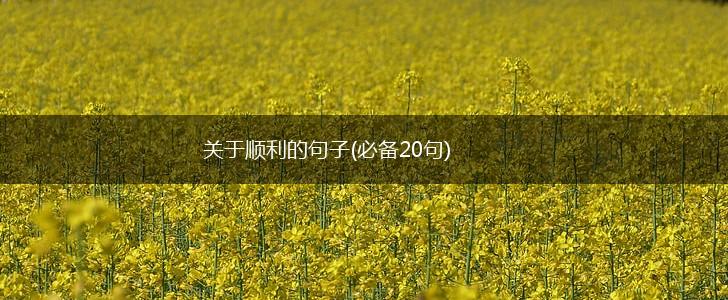 关于顺利的句子(必备20句),第1张