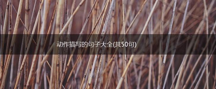 动作描写的句子大全(共50句),第1张