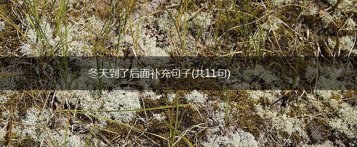 冬天到了后面补充句子(共11句),第1张