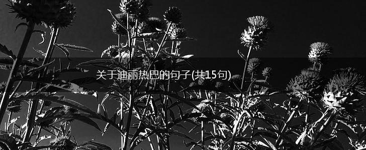 关于迪丽热巴的句子(共15句),第1张