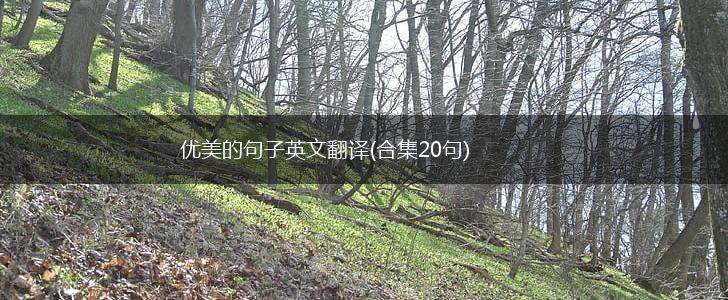 优美的句子英文翻译(合集20句),第1张