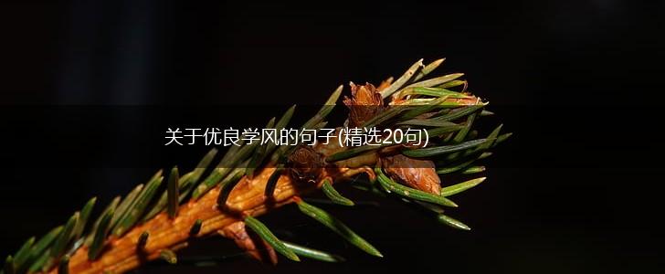 关于优良学风的句子(精选20句),第1张