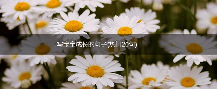 写宝宝成长的句子(热门20句),第1张