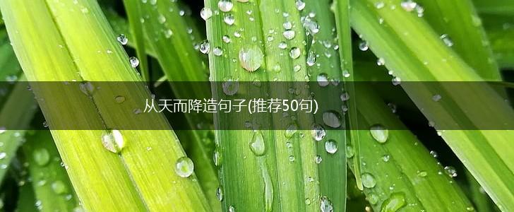 从天而降造句子(推荐50句),第1张