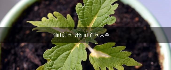 仙山造句_用仙山造句大全,第1张
