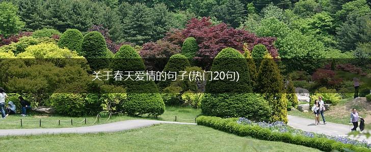 关于春天爱情的句子(热门20句),第1张