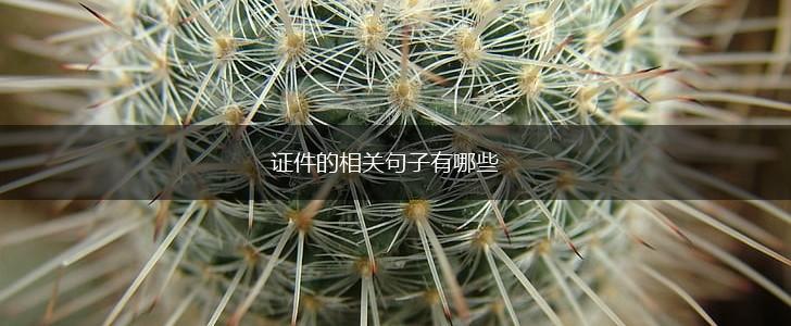 证件的相关句子有哪些,第1张