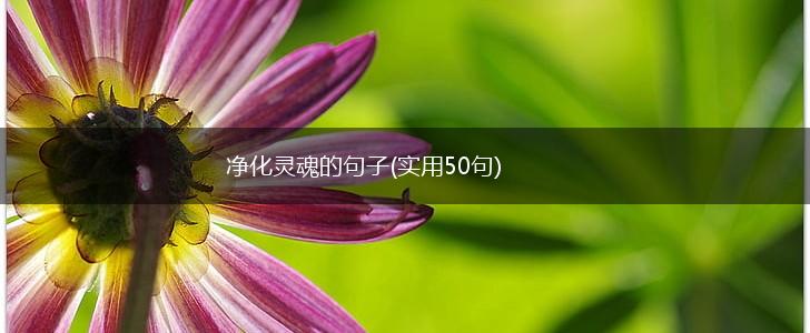 净化灵魂的句子(实用50句),第1张