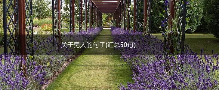 关于男人的句子(汇总50句),第1张