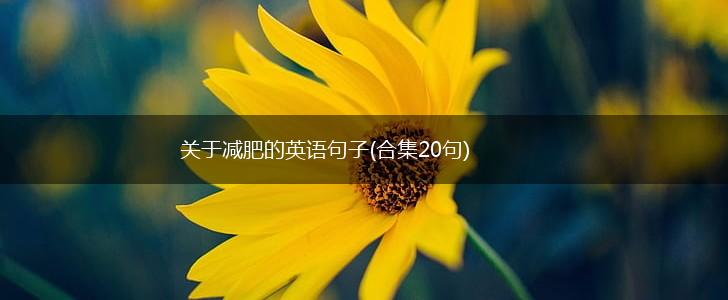 关于减肥的英语句子(合集20句),第1张