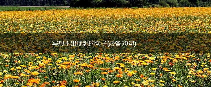 写想不出现想的句子(必备50句),第1张