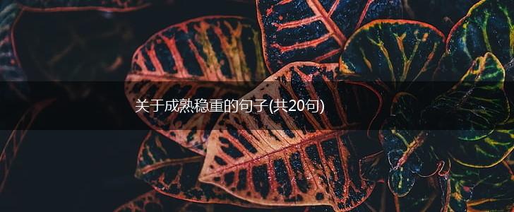 关于成熟稳重的句子(共20句),第1张