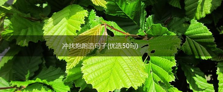 冲找抱跑造句子(优选50句),第1张